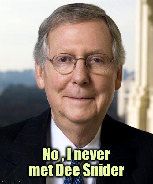 Mitch McConnel | No , I never met Dee Snider | image tagged in mitch mcconnel | made w/ Imgflip meme maker