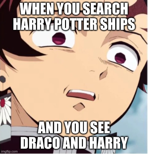Tanjiro has seen some shit | WHEN YOU SEARCH HARRY POTTER SHIPS; AND YOU SEE DRACO AND HARRY | image tagged in tanjiro,demon slayer | made w/ Imgflip meme maker