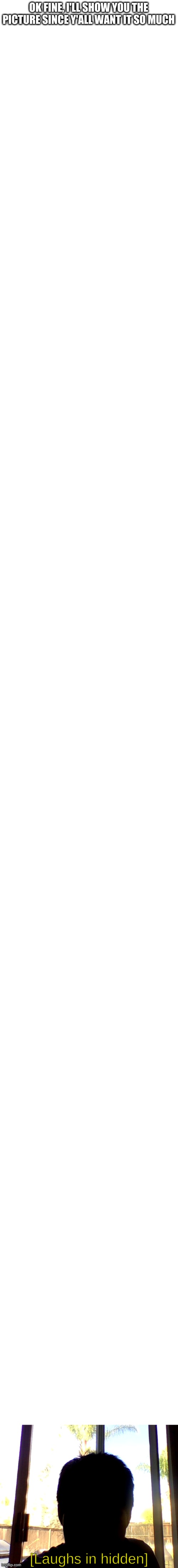 what? | OK FINE, I'LL SHOW YOU THE PICTURE SINCE Y'ALL WANT IT SO MUCH | image tagged in blank white template,memes,blank transparent square | made w/ Imgflip meme maker