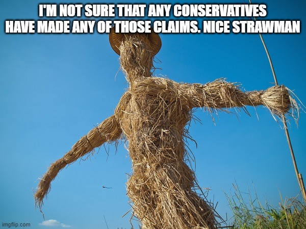 Strawman | I'M NOT SURE THAT ANY CONSERVATIVES HAVE MADE ANY OF THOSE CLAIMS. NICE STRAWMAN | image tagged in strawman | made w/ Imgflip meme maker