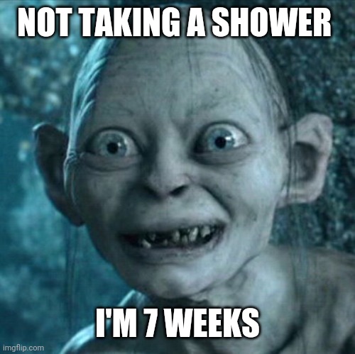 Gollum Meme | NOT TAKING A SHOWER; I'M 7 WEEKS | image tagged in memes,gollum | made w/ Imgflip meme maker