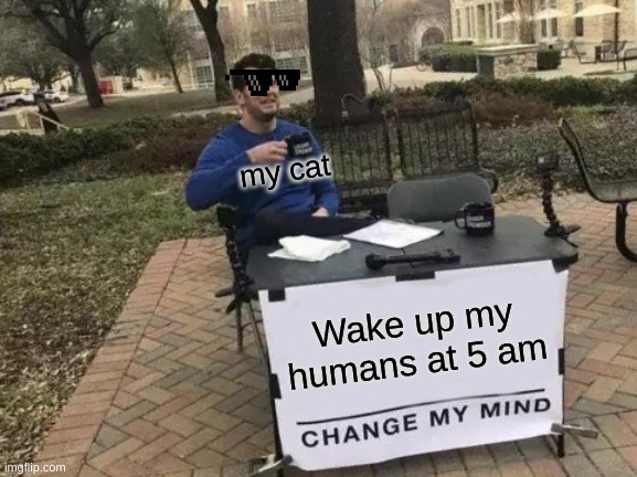Change My Mind |  my cat; Wake up my humans at 5 am | image tagged in memes,change my mind | made w/ Imgflip meme maker