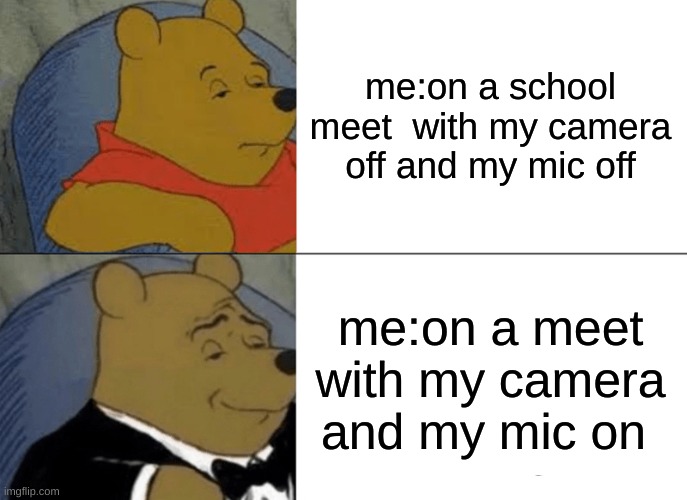 Tuxedo Winnie The Pooh Meme | me:on a school meet  with my camera off and my mic off; me:on a meet with my camera and my mic on | image tagged in memes,tuxedo winnie the pooh | made w/ Imgflip meme maker