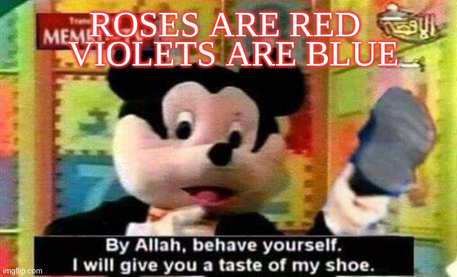 Anyone understand this meme? | VIOLETS ARE BLUE; ROSES ARE RED | image tagged in by allah behave yourself or i will give you a taste of my shoe | made w/ Imgflip meme maker