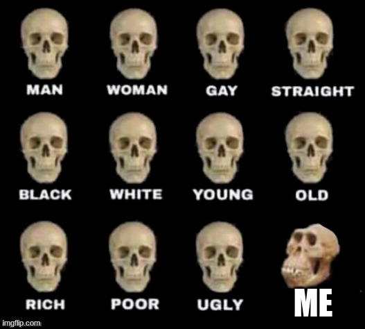 idiot skull | ME | image tagged in idiot skull | made w/ Imgflip meme maker