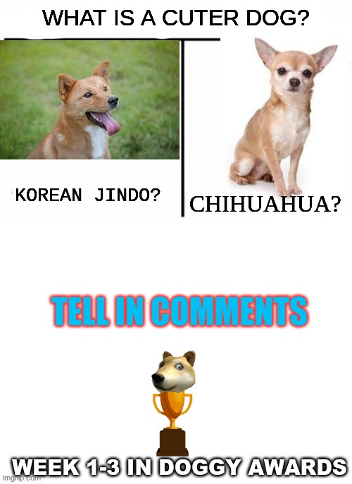 Week 1-3 in Doggy awards season 1! | WHAT IS A CUTER DOG? KOREAN JINDO? CHIHUAHUA? TELL IN COMMENTS; WEEK 1-3 IN DOGGY AWARDS | image tagged in memes,who would win,blank white template,dog,dogs | made w/ Imgflip meme maker