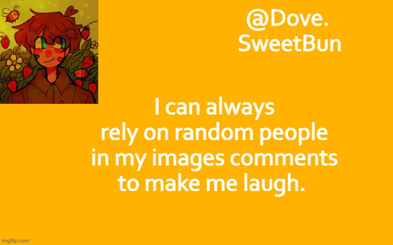 Another template | I can always rely on random people in my images comments to make me laugh. | image tagged in another template | made w/ Imgflip meme maker