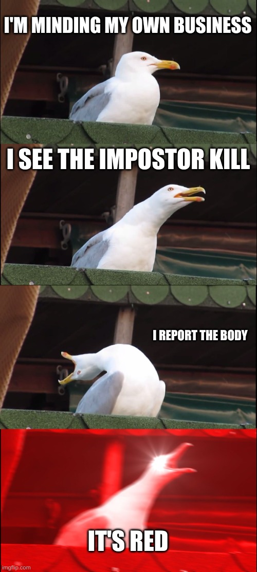 O' muh gudd | I'M MINDING MY OWN BUSINESS; I SEE THE IMPOSTOR KILL; I REPORT THE BODY; IT'S RED | image tagged in memes,inhaling seagull | made w/ Imgflip meme maker