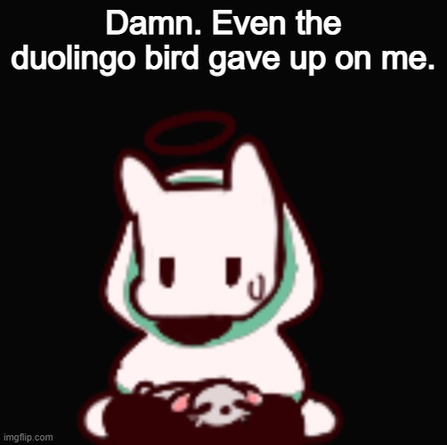 ;-; | Damn. Even the duolingo bird gave up on me. | image tagged in you aren't very smart are you | made w/ Imgflip meme maker