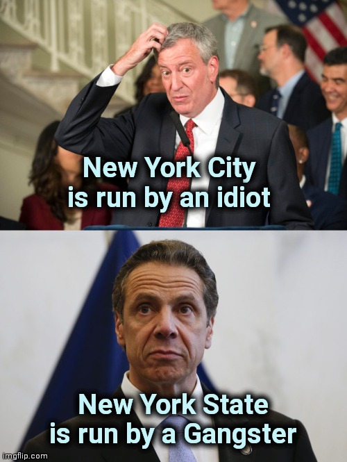 New York City is run by an idiot New York State is run by a Gangster | image tagged in bill deblasio,andrew cuomo | made w/ Imgflip meme maker