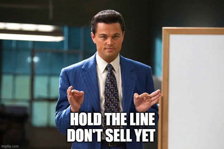 wolf-of-wall-street | HOLD THE LINE
DON'T SELL YET | image tagged in wolf-of-wall-street,gamestop,wall street,stock market,reddit,stonks | made w/ Imgflip meme maker
