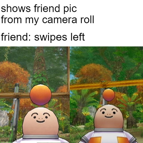 Awkward Opoona Selfie | shows friend pic from my camera roll; friend: swipes left | image tagged in opoonaselfie,opoona,selfie,camera,awkward | made w/ Imgflip meme maker