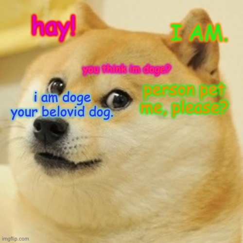 Doge Meme | hay! I AM. you think im doge? person pet me, please? i am doge your belovid dog. | image tagged in memes,doge | made w/ Imgflip meme maker