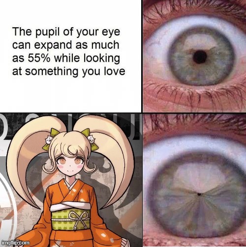 I'm sure the SDR2 fandom can relate. | image tagged in eyes | made w/ Imgflip meme maker