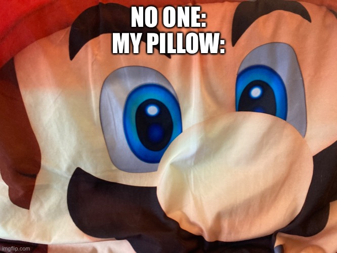 Ngl it’s kinda terrifying | NO ONE:
MY PILLOW: | made w/ Imgflip meme maker