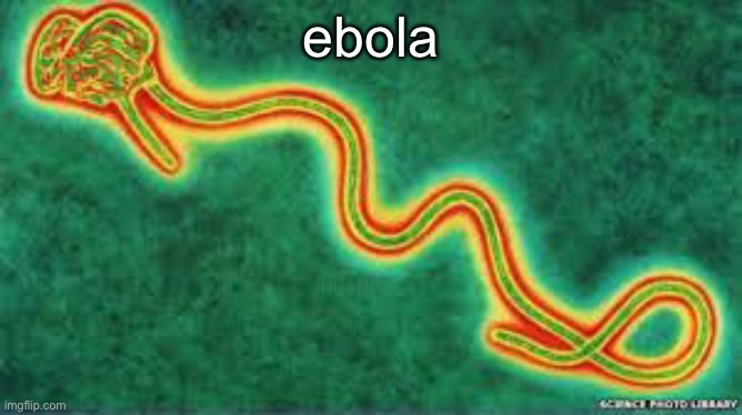 ebola | ebola | image tagged in ebola | made w/ Imgflip meme maker