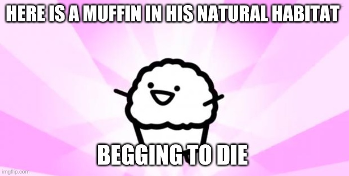 somebody kill me ASDF |  HERE IS A MUFFIN IN HIS NATURAL HABITAT; BEGGING TO DIE | image tagged in somebody kill me asdf | made w/ Imgflip meme maker