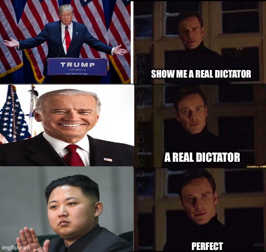 Seriously though if you think Biden’s a dictator you couldn’t have heard of Kim | SHOW ME A REAL DICTATOR; A REAL DICTATOR; PERFECT | image tagged in show me the real | made w/ Imgflip meme maker