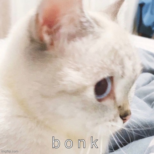 b o n k | made w/ Imgflip meme maker