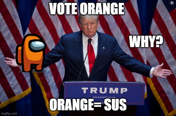 Donald Trump | VOTE ORANGE; WHY? ORANGE= SUS | image tagged in donald trump | made w/ Imgflip meme maker