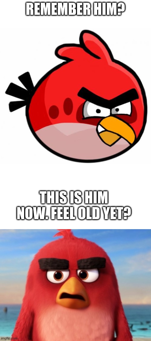 I would've made a graveyard, but found the other one and thought 'Why not?' | REMEMBER HIM? THIS IS HIM NOW. FEEL OLD YET? | image tagged in blank white template,angry birds,feel old yet | made w/ Imgflip meme maker