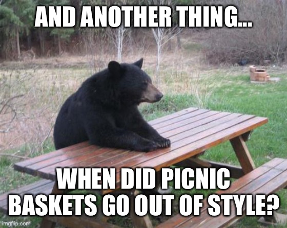 Bad Luck Bear | AND ANOTHER THING... WHEN DID PICNIC BASKETS GO OUT OF STYLE? | image tagged in memes,bad luck bear | made w/ Imgflip meme maker