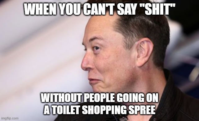 Elon Musk | WHEN YOU CAN'T SAY "SHIT"; WITHOUT PEOPLE GOING ON
A TOILET SHOPPING SPREE | image tagged in elon musk,shit,toilet,stock market | made w/ Imgflip meme maker