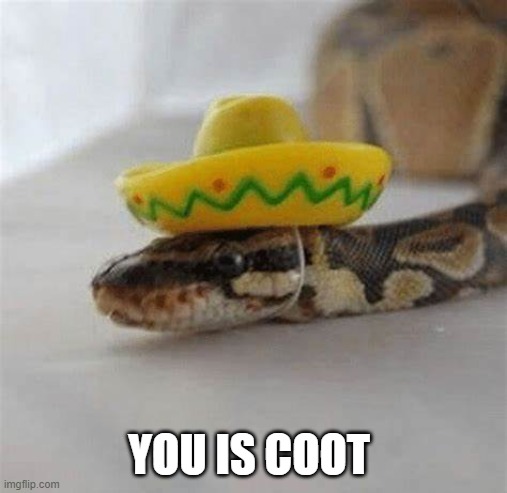 YOU IS COOT | made w/ Imgflip meme maker