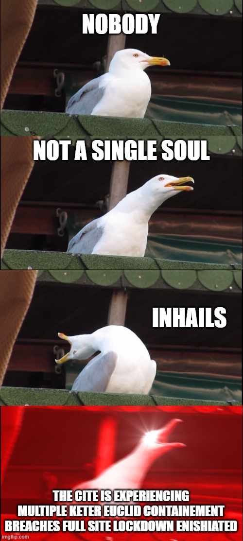 SCP Seagull | NOBODY; NOT A SINGLE SOUL; INHAILS; THE CITE IS EXPERIENCING MULTIPLE KETER EUCLID CONTAINEMENT BREACHES FULL SITE LOCKDOWN ENISHIATED | image tagged in memes,inhaling seagull | made w/ Imgflip meme maker