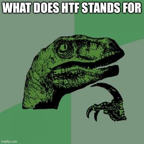 Philosoraptor | WHAT DOES HTF STANDS FOR | image tagged in memes,philosoraptor | made w/ Imgflip meme maker