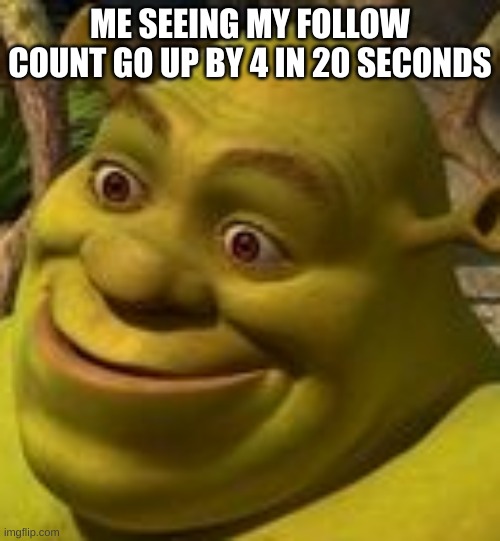 Jesus lmao, smt tells me two ppl are waiting to see it hit 68 so they can be 69th | ME SEEING MY FOLLOW COUNT GO UP BY 4 IN 20 SECONDS | image tagged in shrek face | made w/ Imgflip meme maker