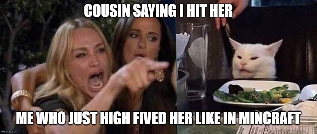 woman yelling at cat | COUSIN SAYING I HIT HER; ME WHO JUST HIGH FIVED HER LIKE IN MINCRAFT | image tagged in woman yelling at cat | made w/ Imgflip meme maker