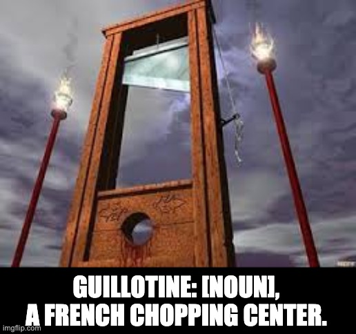 French | GUILLOTINE: [NOUN], A FRENCH CHOPPING CENTER. | image tagged in guillotine | made w/ Imgflip meme maker
