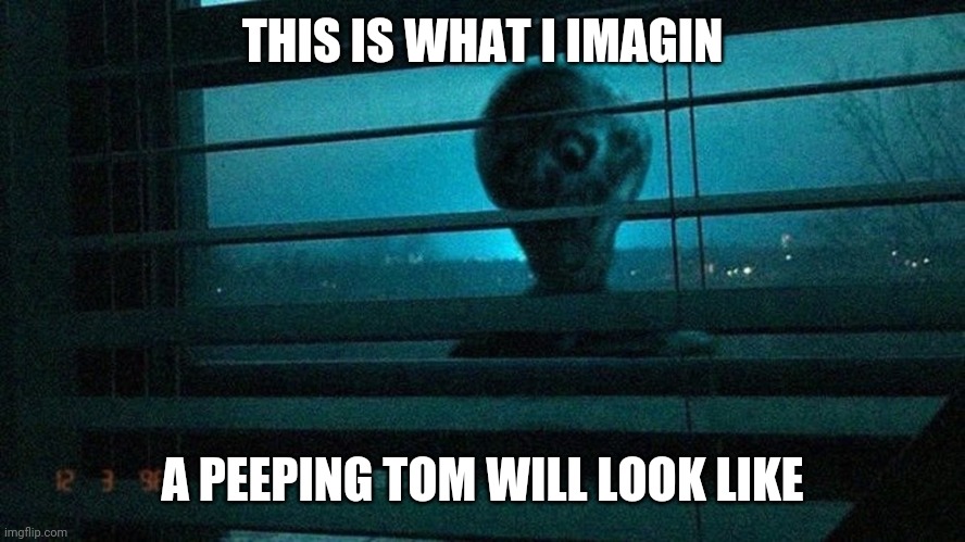 Peeping toms be like | THIS IS WHAT I IMAGIN; A PEEPING TOM WILL LOOK LIKE | image tagged in peeping tom | made w/ Imgflip meme maker