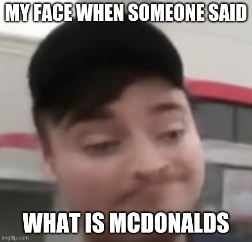 lol | MY FACE WHEN SOMEONE SAID; WHAT IS MCDONALDS | image tagged in mrbeast | made w/ Imgflip meme maker