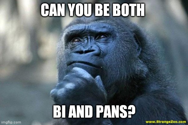Someone made me question this | CAN YOU BE BOTH; BI AND PANS? | image tagged in deep thoughts | made w/ Imgflip meme maker