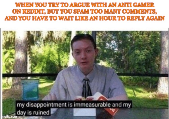 when we raiding bois | WHEN YOU TRY TO ARGUE WITH AN ANTI GAMER ON REDDIT, BUT YOU SPAM TOO MANY COMMENTS, AND YOU HAVE TO WAIT LIKE AN HOUR TO REPLY AGAIN | image tagged in my dissapointment is immeasurable and my day is ruined,reddit,r/banvideogames,r/banvideogames sucks | made w/ Imgflip meme maker