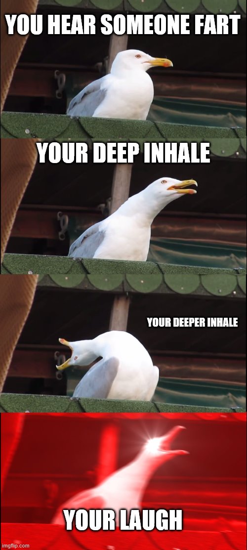 Just Laugh No Inhaling | YOU HEAR SOMEONE FART; YOUR DEEP INHALE; YOUR DEEPER INHALE; YOUR LAUGH | image tagged in memes,inhaling seagull | made w/ Imgflip meme maker