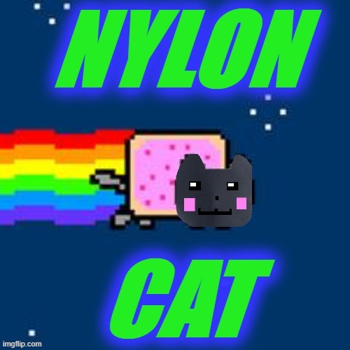 Nylon cat | image tagged in funny cat memes | made w/ Imgflip meme maker