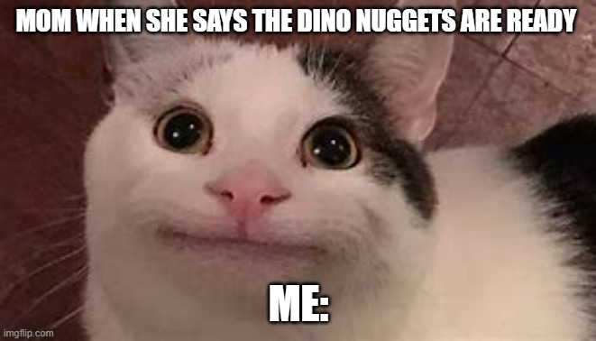 MOM WHEN SHE SAYS THE DINO NUGGETS ARE READY; ME: | image tagged in cats | made w/ Imgflip meme maker