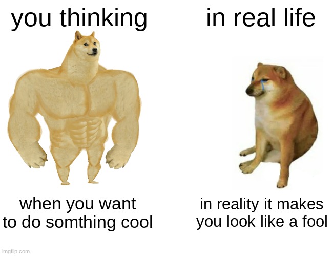 Buff Doge vs. Cheems | you thinking; in real life; when you want to do somthing cool; in reality it makes you look like a fool | image tagged in memes,buff doge vs cheems | made w/ Imgflip meme maker