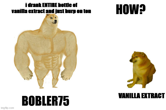 VANILLA EXTRACT BOBLER75 i drank ENTIRE bottle of vanilla extract and just burp on ton HOW? | image tagged in swole doge vs cheems | made w/ Imgflip meme maker