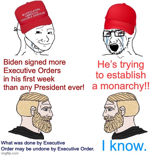 Hell yeah he did: he is basically having to overturn 4 years’ worth of rotten Trump actions and inactions at once | He’s trying to establish a monarchy!! Biden signed more Executive Orders in his first week than any President ever! What was done by Executive Order may be undone by Executive Order. I know. | image tagged in maga wojaks vs yes chad,wojak,maga,conservative logic,president trump,biden | made w/ Imgflip meme maker