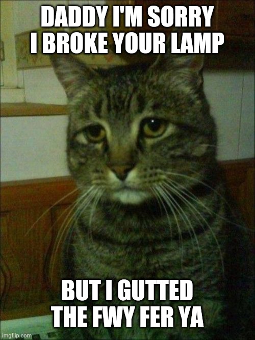 Depressed Cat Meme | DADDY I'M SORRY I BROKE YOUR LAMP; BUT I GUTTED THE FWY FER YA | image tagged in memes,depressed cat | made w/ Imgflip meme maker