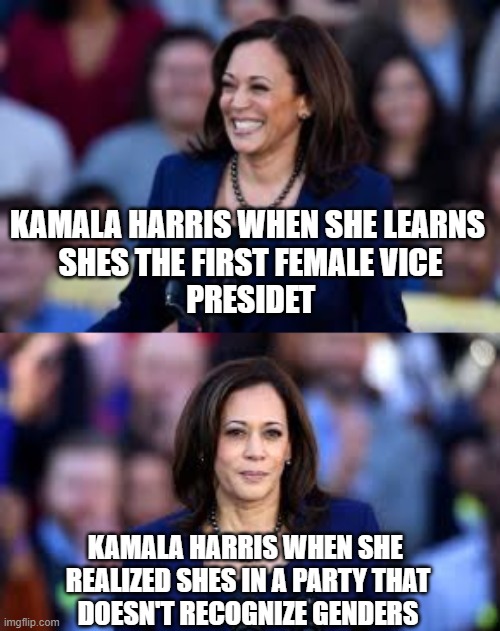 Kamala Harris Funny | KAMALA HARRIS WHEN SHE LEARNS 
SHES THE FIRST FEMALE VICE
PRESIDET; KAMALA HARRIS WHEN SHE 
REALIZED SHES IN A PARTY THAT
DOESN'T RECOGNIZE GENDERS | image tagged in democrat | made w/ Imgflip meme maker