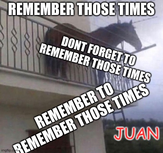 juan | REMEMBER THOSE TIMES; DONT FORGET TO REMEMBER THOSE TIMES; REMEMBER TO REMEMBER THOSE TIMES; JUAN | image tagged in juan | made w/ Imgflip meme maker