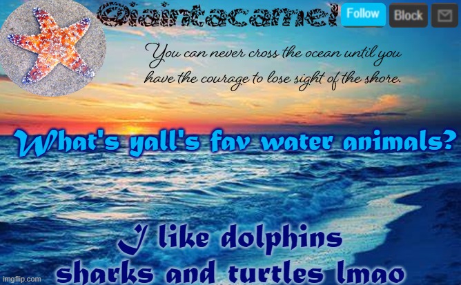 iaintacamel | What's yall's fav water animals? I like dolphins sharks and turtles lmao | image tagged in iaintacamel | made w/ Imgflip meme maker