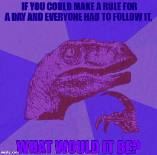 purple philosoraptor | IF YOU COULD MAKE A RULE FOR A DAY AND EVERYONE HAD TO FOLLOW IT, WHAT WOULD IT BE? | image tagged in purple philosoraptor | made w/ Imgflip meme maker