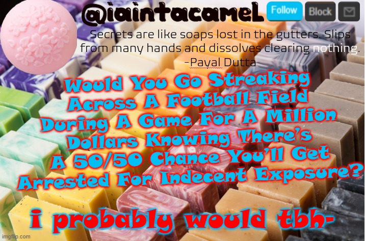 iaintacamel | Would You Go Streaking Across A Football Field During A Game For A Million Dollars Knowing There’s A 50/50 Chance You’ll Get Arrested For Indecent Exposure? i probably would tbh- | image tagged in iaintacamel | made w/ Imgflip meme maker