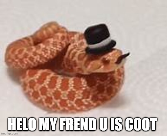 HELO MY FREND U IS COOT | made w/ Imgflip meme maker